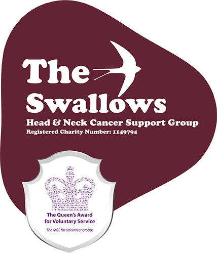 Logo of The Swallows