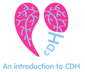 Logo of CDH UK