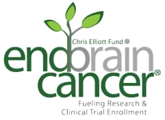 End Brain Cancer Initiative | Chris Elliott Fund logo