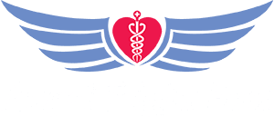 Angel Flight East logo