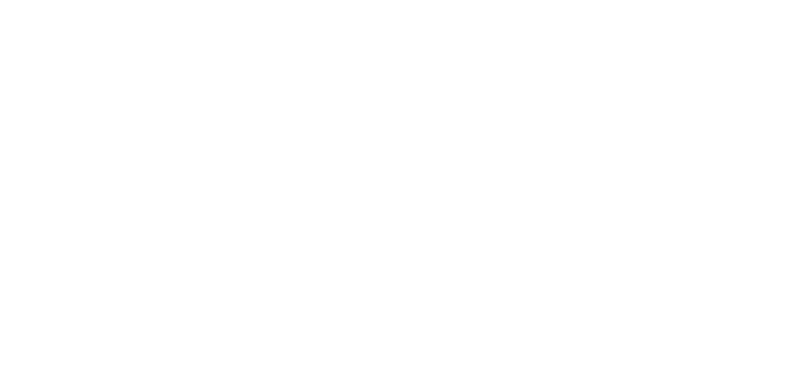 Corporate Angel Network logo