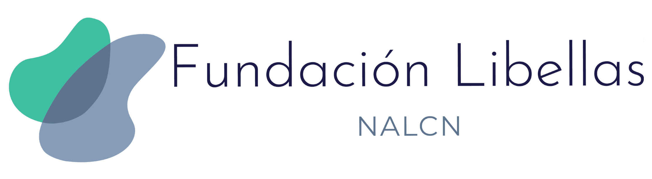 Values - Libellas Foundation logo