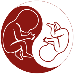 TAPS Support Foundation logo