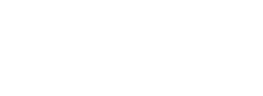 Fighting Blindness logo