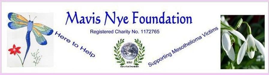 Mavisnyefoundation logo