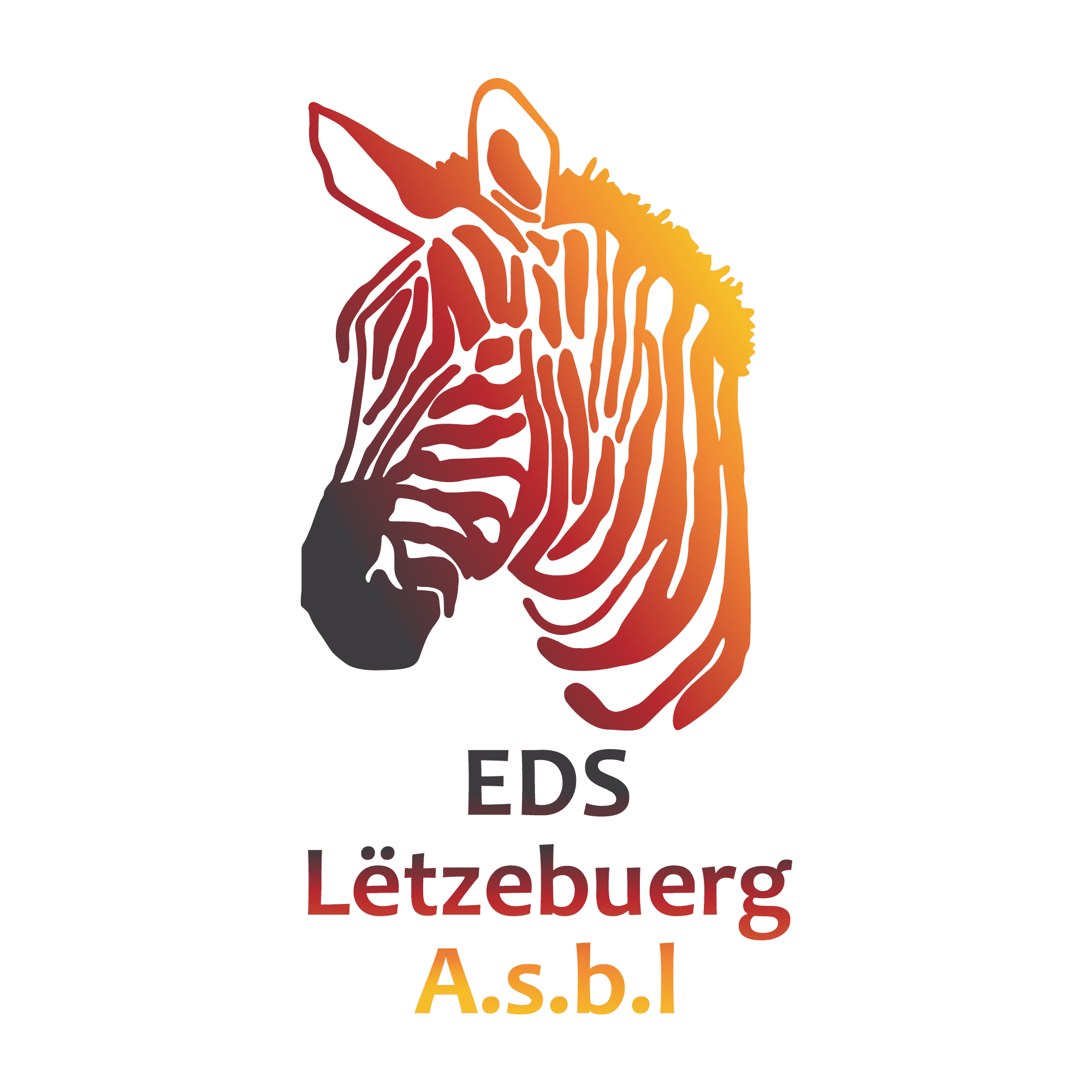 Ehlers-Danlos Syndrom: EDS Lëtzebuerg A.s.b.l. 2 logo