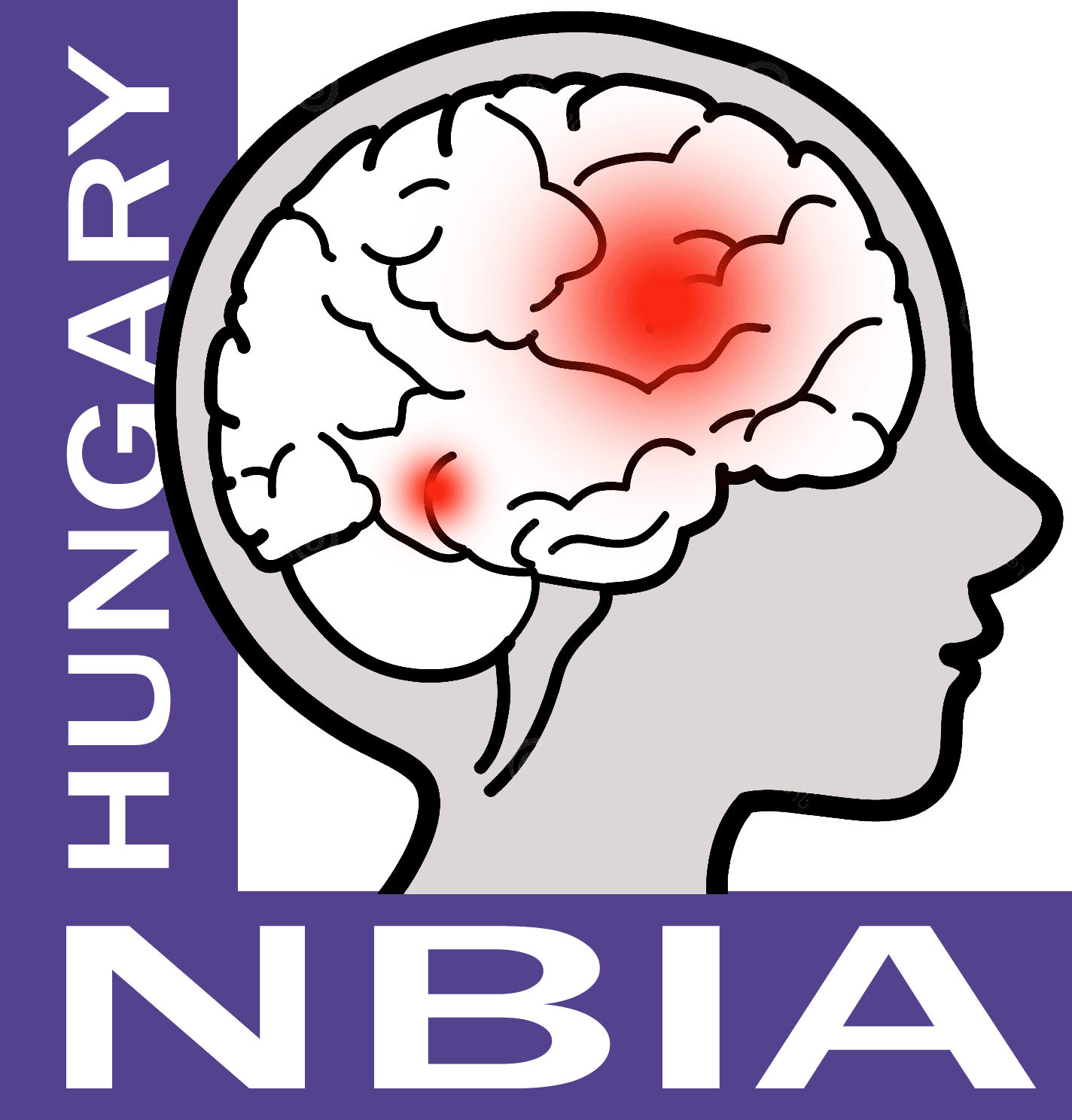 NBIA - neurodegeneráció agyi vasfelhalmozódással: Gondolatok logo