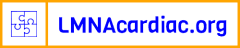 LMNA cardiac logo